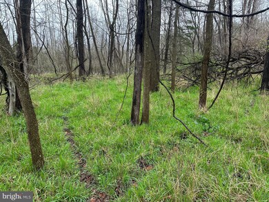 11135 S Fork Rd, Moorefield, WV - photo 3