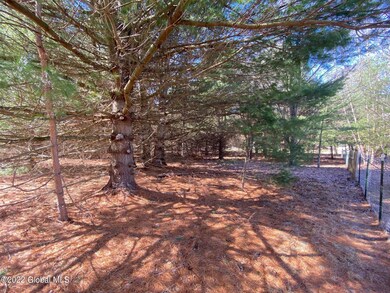 13 Comstock Rd, Corinth, NY 12822 - photo 6