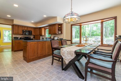 5729 Private Rd, Doylestown, PA 18902 - photo 4