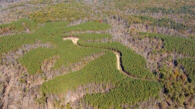 0 Old Highway 18 unit RTC2588351, Stewart, TN 37175 - photo 6