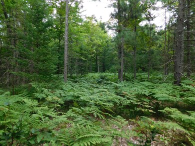 4810 Old Vanderbilt Rd, Vanderbilt, MI 49795 - photo 4