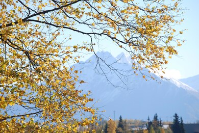 1072 E Westpoint Dr unit 3, Wasilla, AK 99654 - photo 3