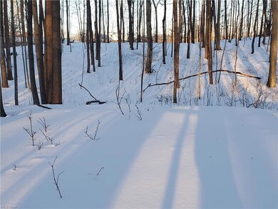 0 V L Greenwich Rd Jamison Rd unit 4347508, Lodi, OH 44254 - photo 3