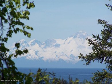 view from the deck