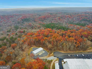 0 Hogan Pond Ln unit 10652503, Ball Ground, GA 30107 - photo 6