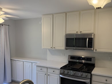 2528 Heritage Ct unit 1, Geneva, IL 60134 - photo 4