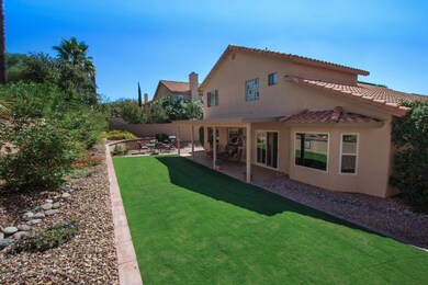 Beautiful Green Backyard  ( KC Creative