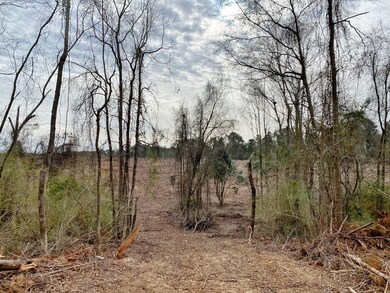 000 Maggie Johnson Rd, Tylertown, MS 39667 - photo 7
