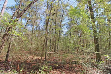 126 Nine Gables Ln, Crawfordville, FL 32327 - photo 7