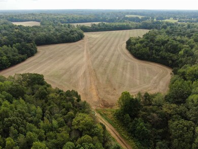 Birds eye view of property with a rural view
