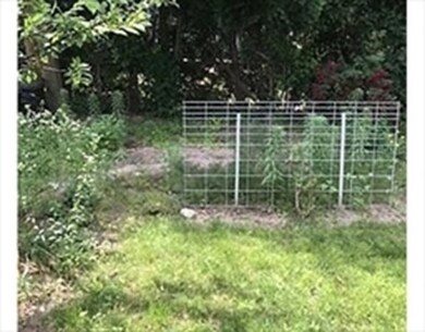 163 Chilton St unit 1, Cambridge, MA 02138 - photo 4