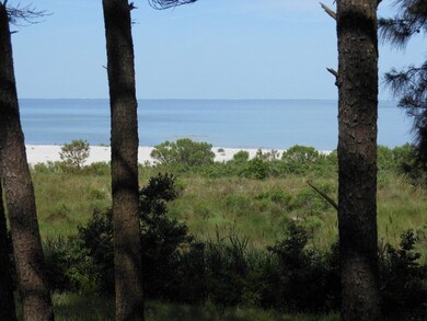 Wooded view