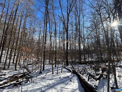 0 Stone Chimneys Rd unit 1 661050, Nellysford, VA 22958 - photo 3