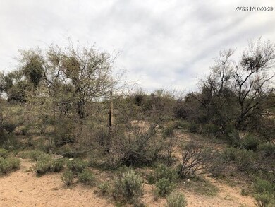 Lot View