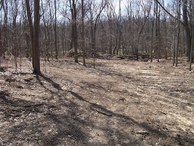 1670 River Bend Blvd, Bertrand Township, MI 49120 - photo 3