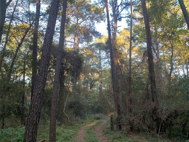 24424 Nichols Sawmill Rd, Magnolia, TX 77355 - photo 6