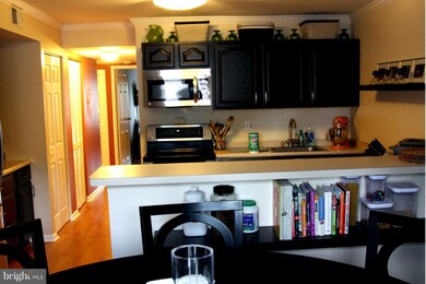 3111 Buccaneer Ct unit 201, Fairfax, VA 22031 - photo 6
