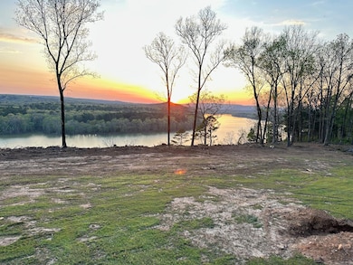 Lot 4 Phil Ln, Shirley, AR 72153 - photo 3