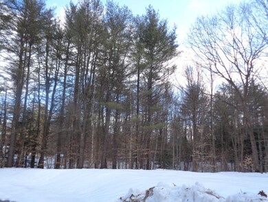 5 Birchwood Dr, Plymouth, NH 03264 - photo 3