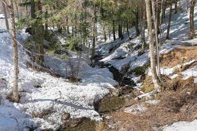 1838 Vermont 12, Northfield, VT 05663 - photo 4