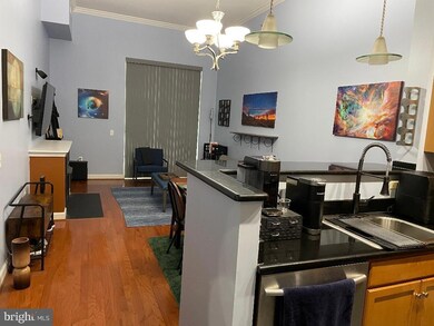 The Berkeley unit 104, Arlington, VA 22201 - photo 7