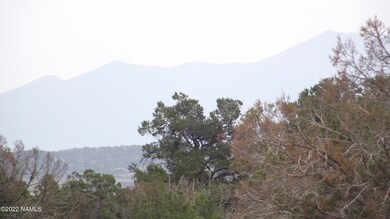 DSCF6419