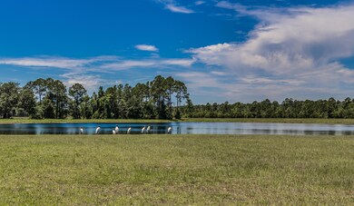 IMG_8528