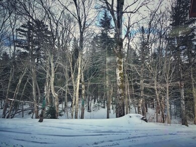 6852 Us Route 4 unit C7, Mendon, VT 05701 - photo 5