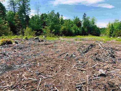 Lot 8 Forest View Dr, Effingham, NH 03882 - photo 5