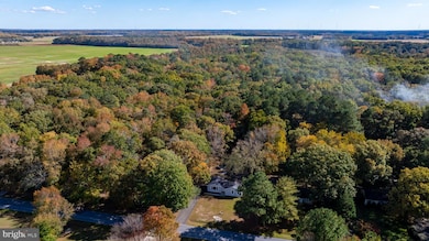 28425 Adkins Rd, Salisbury, MD 21801 - photo 2