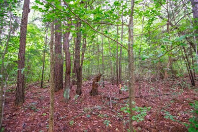 0 Georgia 103 unit 221748, West Point, GA - photo 5