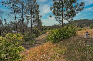 299 acreage-104