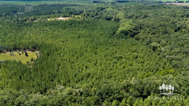 XX7 Alred Rd, Westville, FL 32464 - photo 7