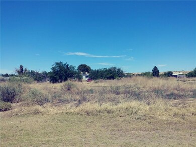 12205 Sugden Rd, Clint, TX 79836 - photo 4