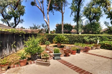 Vegetable garden