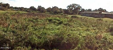 4525 Papaya St, Cocoa, FL 32926 - photo 5