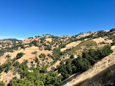 9007 Stewarts Point-Skaggs Springs Rd, Healdsburg, CA 95448 - photo 4