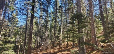 Lot 3023 & 3024 Bolwell Ln unit 3023,3024, Fort Garland, CO 81133 - photo 6