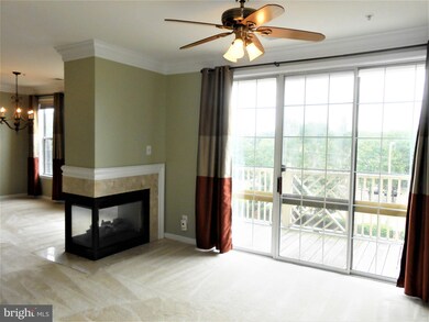 1735 Braddock Place unit 303, Alexandria, VA 22302 - photo 4
