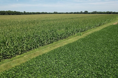 297 N State Route 560, Urbana, OH 43078 - photo 7