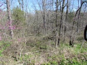 7.53 AC Whitehouse Rd, Fayetteville, AR 72701 - photo 4