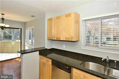 11049A Villaridge Ct unit 11049A, Reston, VA 20191 - photo 7