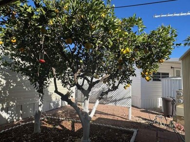 600 S Idaho Rd unit 648, Apache Junction, AZ 85119 - photo 7