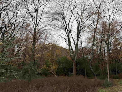 10 Acres Woodland Park Rd, Bryant, AR 72022 - photo 3