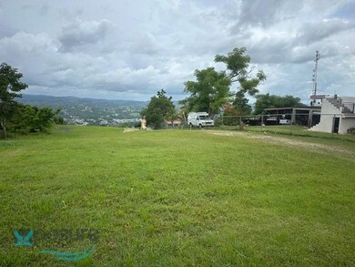 091025 Sr 119 Km 28 7 Int Bo Hoyamala Sector Lechuza, San Sebastián, PR 00685 - photo 3