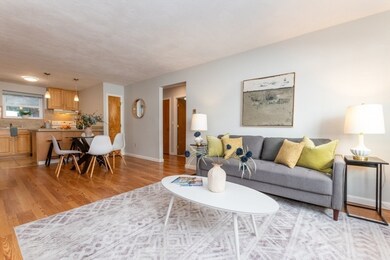 104 Trowbridge St unit 3, Cambridge, MA 02138 - photo 5