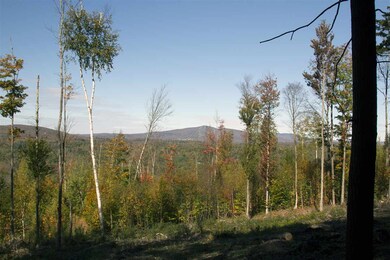 0 Garden Loop Rd unit 2/3/4 4673899, Winhall, VT 05340 - photo 5