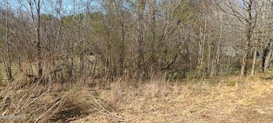 After Cleanout Foundry HIll2