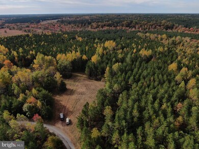 7700 Panier Rd, Spotsylvania, VA 22551 - photo 6