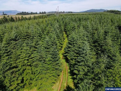 42820 Mount Pleasant Dr, Scio, OR 97374 - photo 7